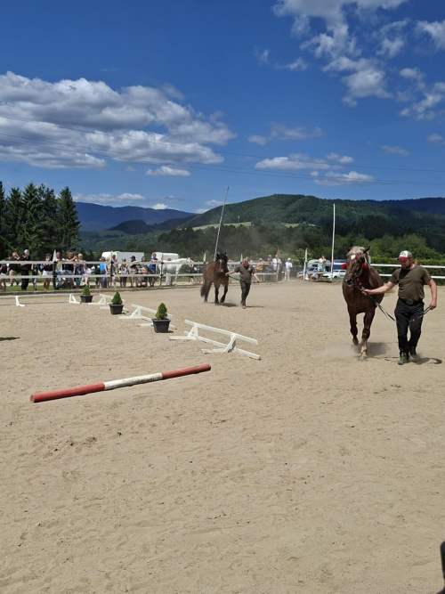 7e1c5616-6878-4de1-893d-8fe617238cd9